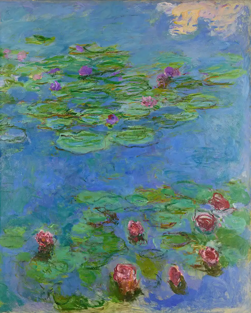 Water Lilies